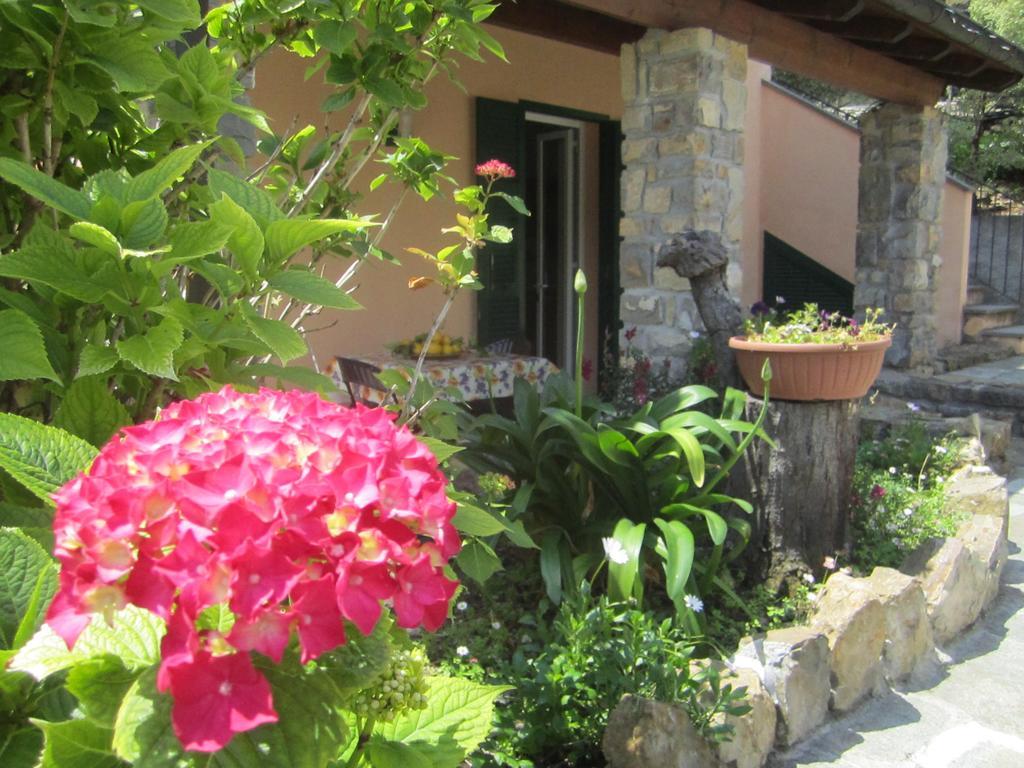 Agriturismo Turlin Vallebona Buitenkant foto